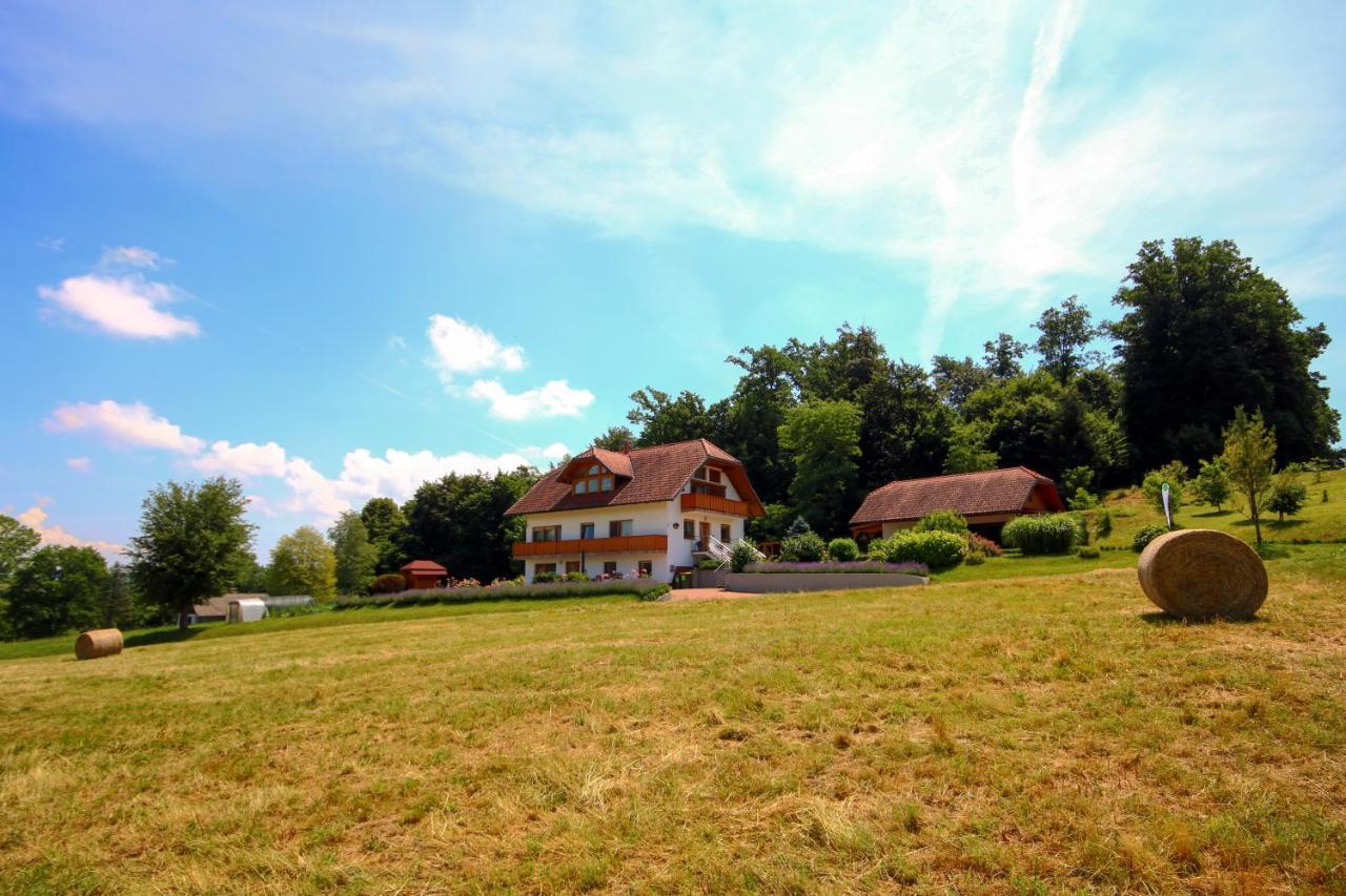 Villa Katarina Mokronog Ngoại thất bức ảnh